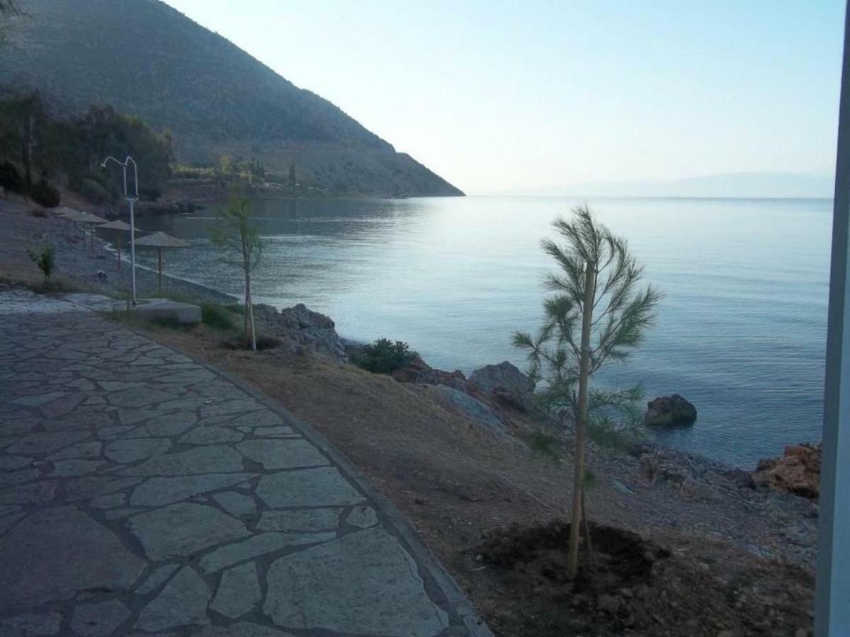 KirraLuxury Seafront House Nearby Delphi公寓 外观 照片